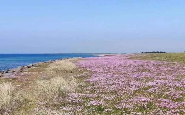 5 Person Holiday Home in Rodby-by Traum