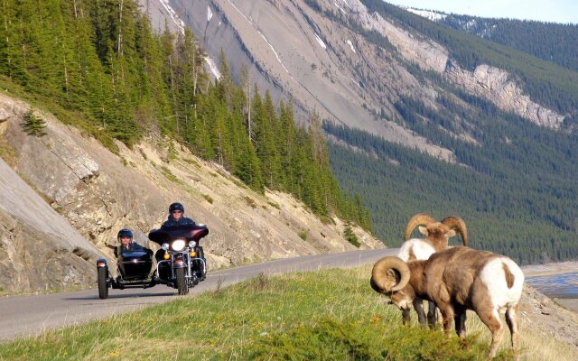 Mount Robson Inn