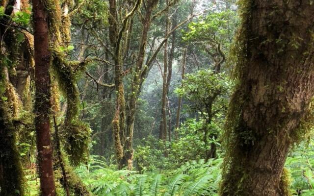 Home2Book El Encanto De la Torre I