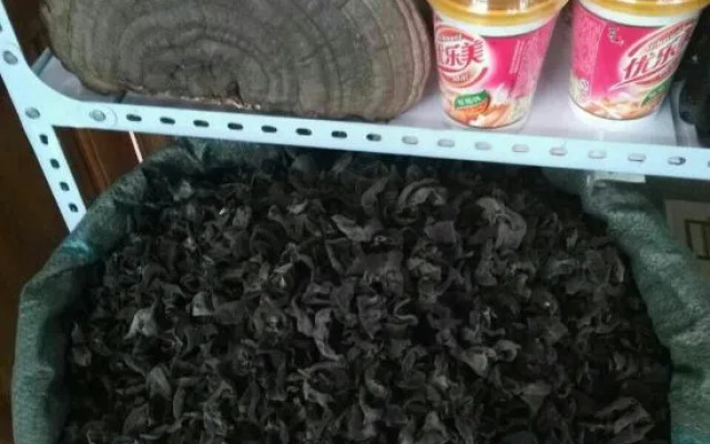 Song Chengguo Family Hostel