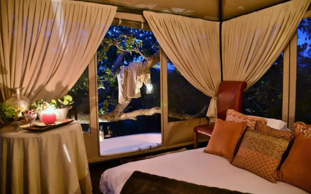 Wild & Free Game Lodge