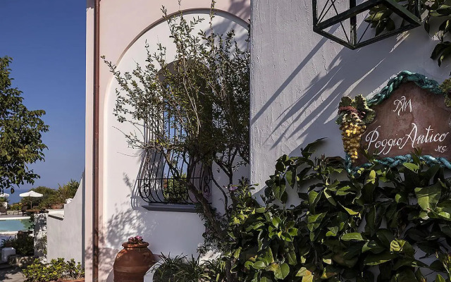 Tenuta del Poggio Antico