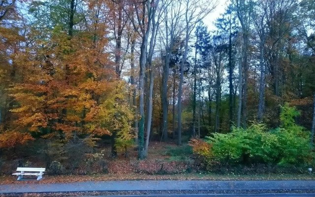 Blätterwald