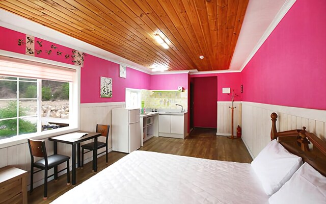 Gapyeong Blue Skylight Pension