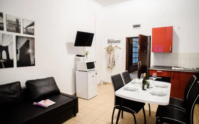 Very central spacious AC apartment