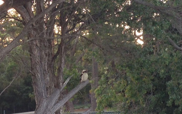 Huskisson Beach B&B
