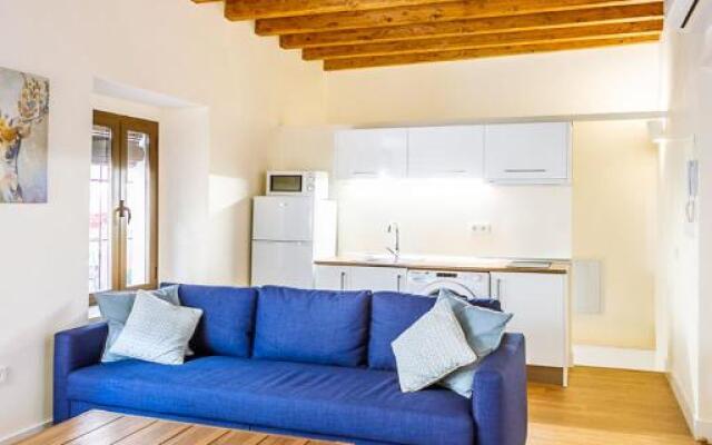 Stunning apartment in central Seville