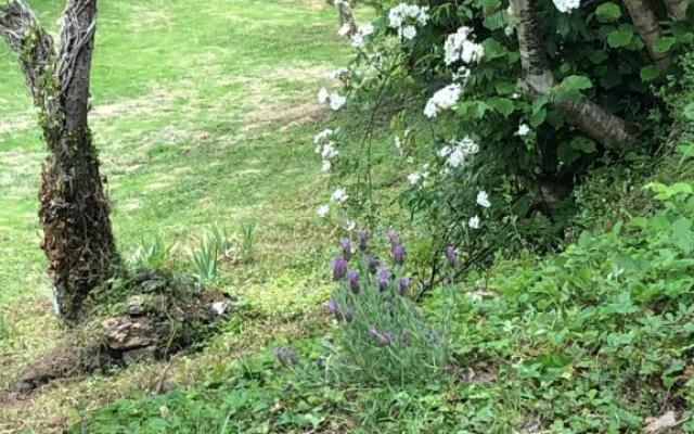 Brentor Self-catering
