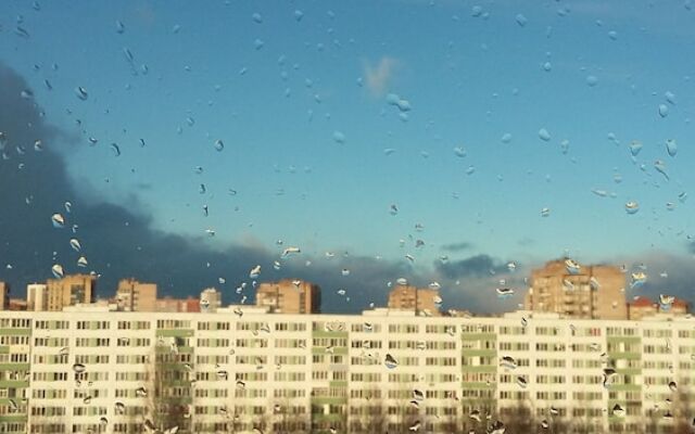 Apartments Krulenko 15