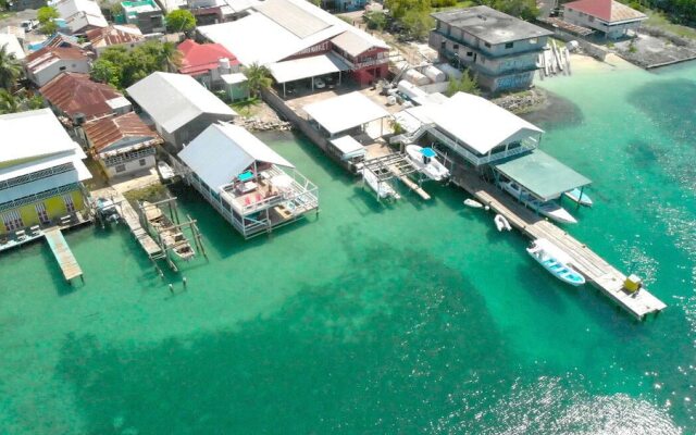 La Hamaca Hostel Utila