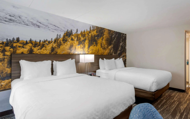 Comfort Inn University