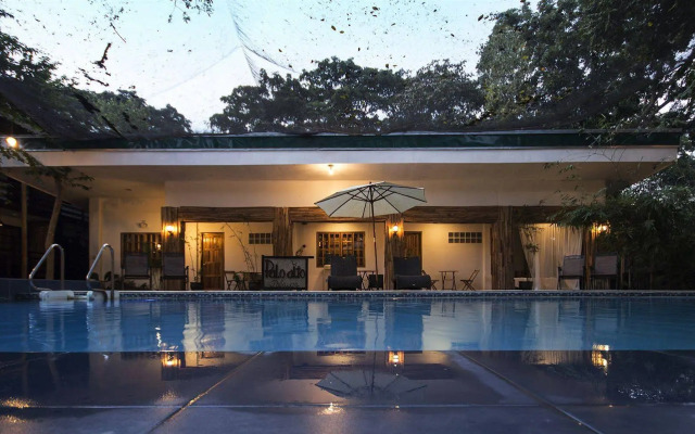 Palo Alto Bed & Breakfast