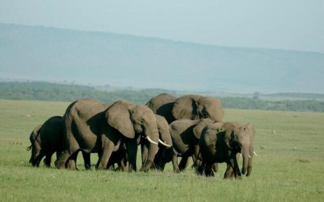 Mara Intrepids Tented Camp