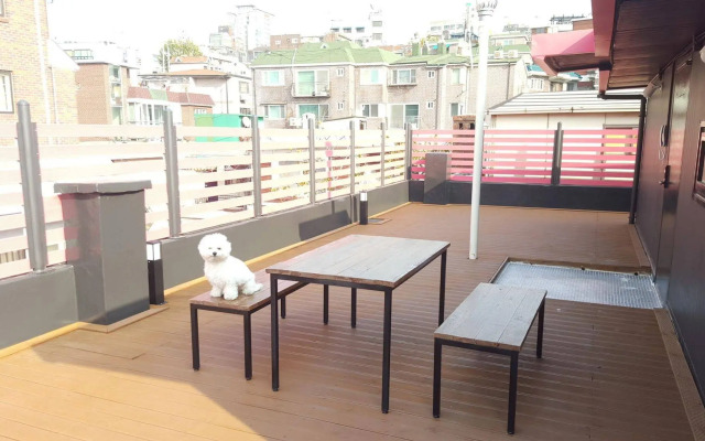 Amazon Guesthouse - Hostel