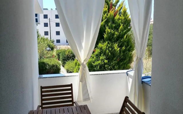 Apartments Dora Bibinje, 50 m from the sea