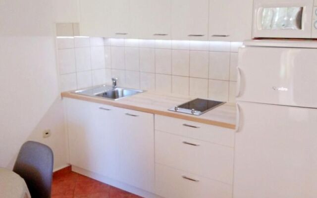 Apartments Predrag