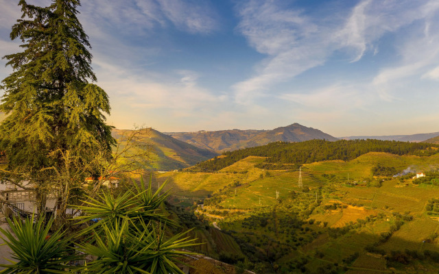 Quinta da Portela Douro