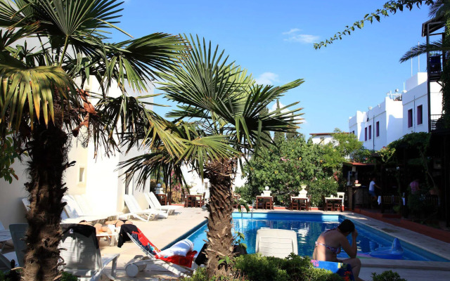 Paloma Hotel