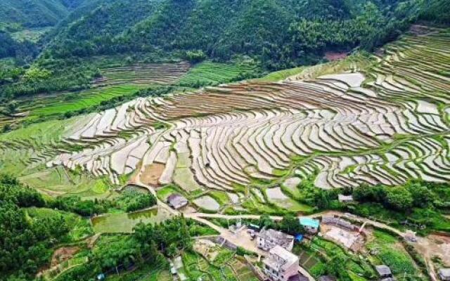 Lianshan Ojia Terrace Farmstay No. 15