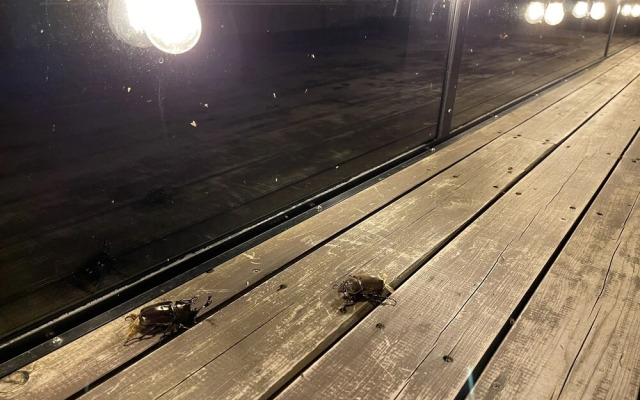 Izu Inatori Terrace - Kando -