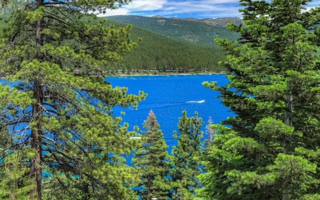 Stunning Views at Stargazer Lakefront Studio!