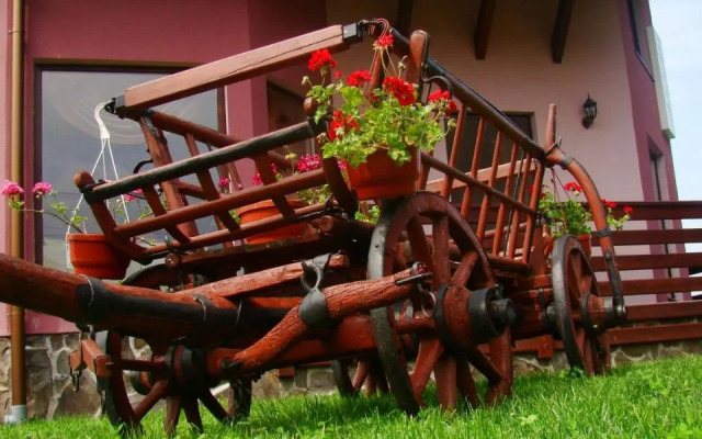 Colt de Rai