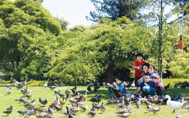 Best Western Inn Santa Clara