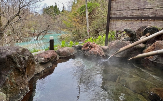 Sujiyu Onsen Kujyu Iyashi no Sato Hotel Dai Kogen