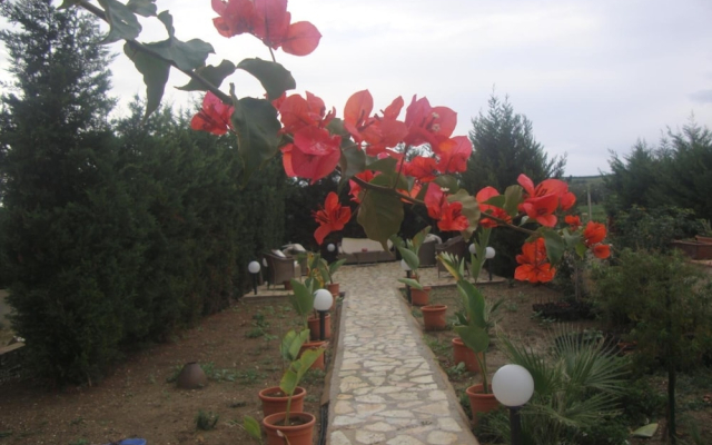 Villa Delle Palme Delfina