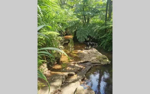 Nature Lovers Paradise