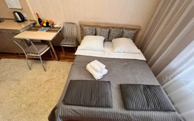 Апартаменты Вояж на улице 50 лет ВЛКСМ, д. 13, корп.3