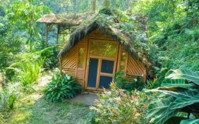 Kampung Rimba by Anrha