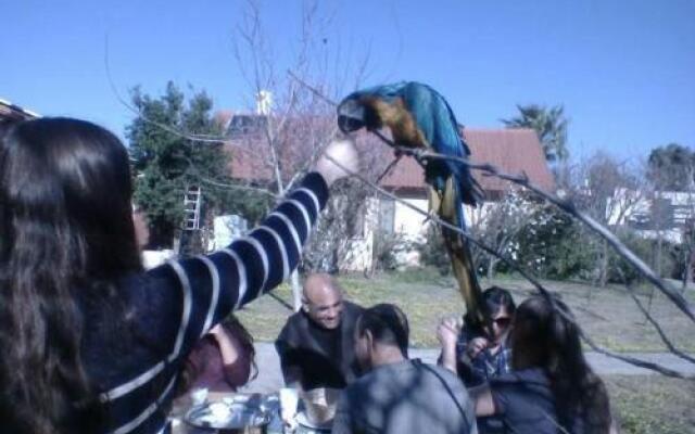 חוויה ברמה - Chavaya Barama