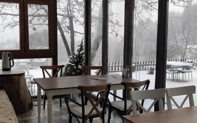 Torrhebia Dag Evi