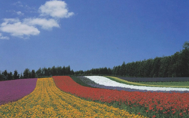 Spa & Hotel Resort Furano La Terre