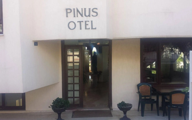 Pinus Otel