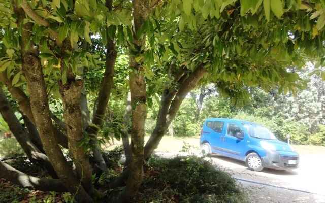 La Collina Di Collevalenza