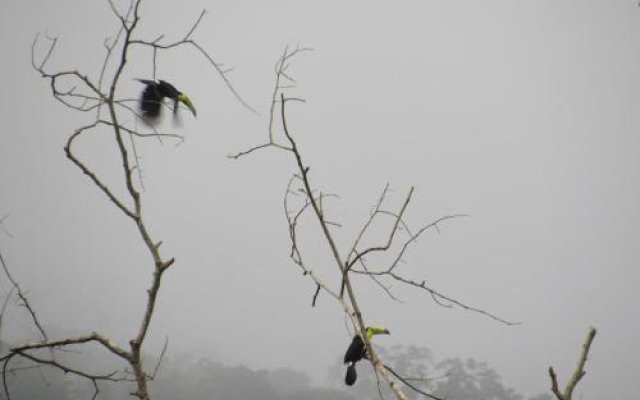 Villa Verde Colombia