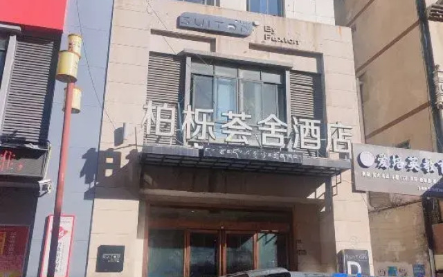 Suiton Plus By Paxton Kangding