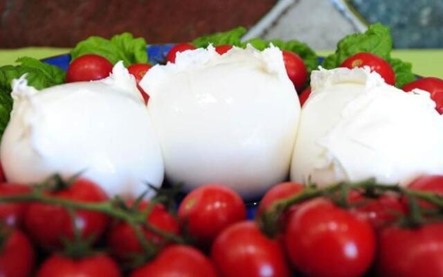 Ville E Appartamenti Paestum