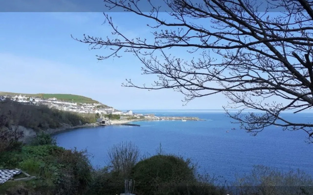 Newquay Haven Caravan 42x14 With Ocean Views