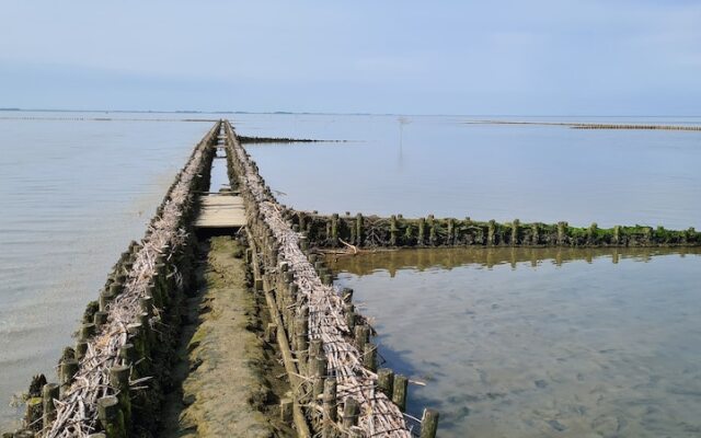 Deichhus Nordseeliebe