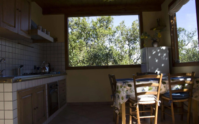 Villa Flavia