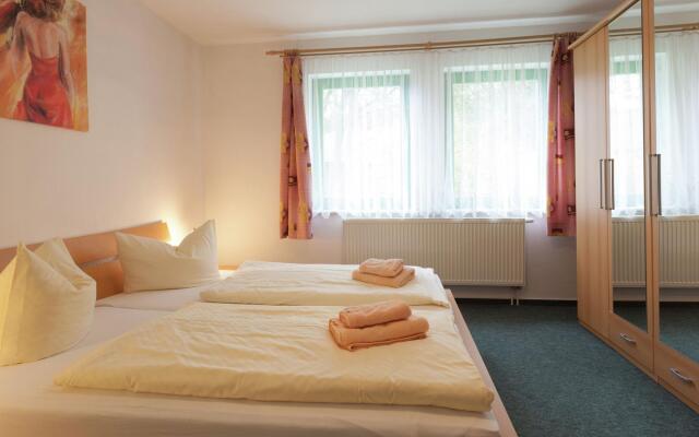 Modern Apartment in Reinhardtsdorf-Schona near Ski Slopes