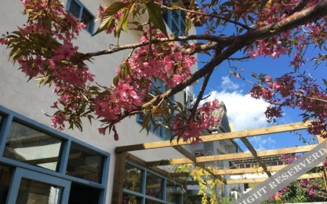 Shanti Guest House