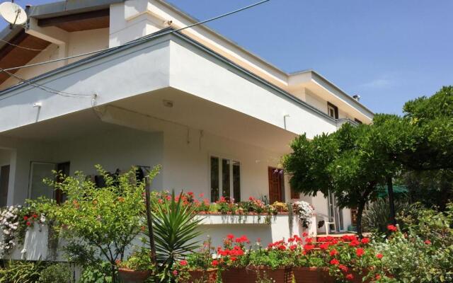 Secret pearl! Amalfi Coast, Pompei & Naples Free parking