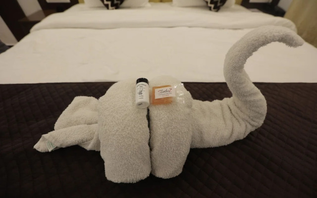 StudioZ Paradise Hills Mussoorie