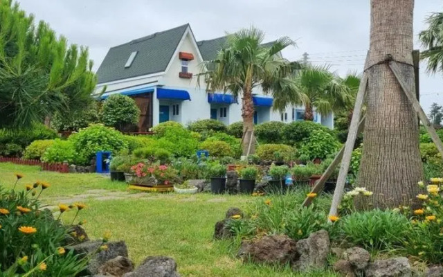 Jeju Joy Pingble House