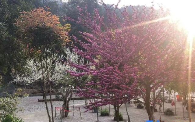 Xishan Yunshe (Zhangjiajie Forest Park Scenic Area)