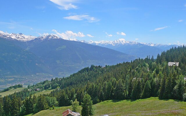 La Clairière des Barzettes A/B 14576